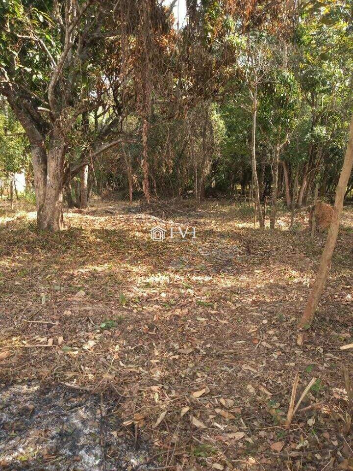 Terreno, 1000 m² - Foto 5