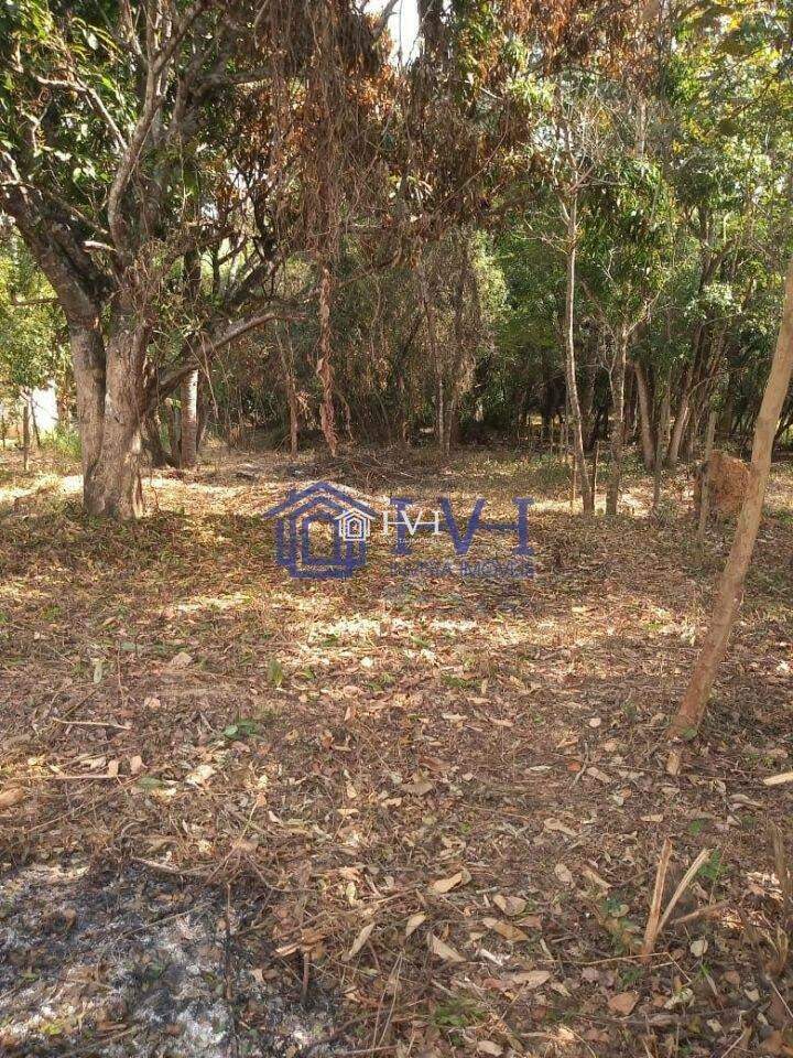 Terreno, 1000 m² - Foto 11