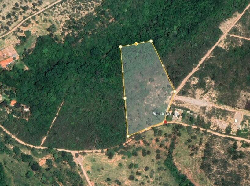 Terreno, 2 hectares - Foto 8