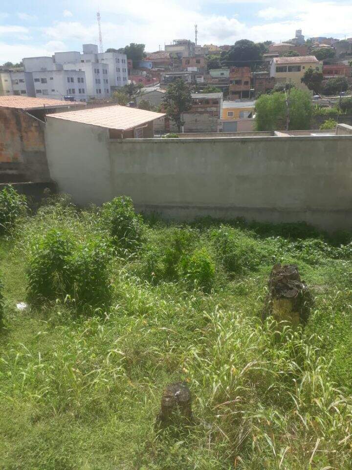 Casa, 4 quartos, 360 m² - Foto 4