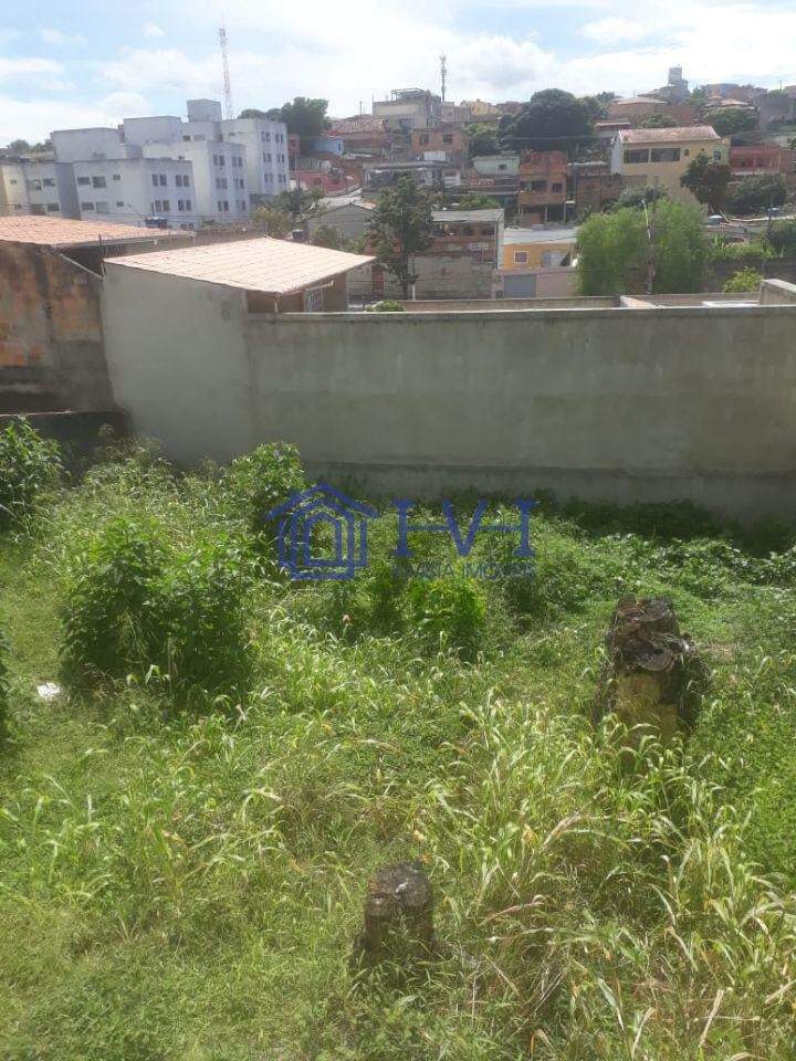 Casa, 4 quartos, 360 m² - Foto 11
