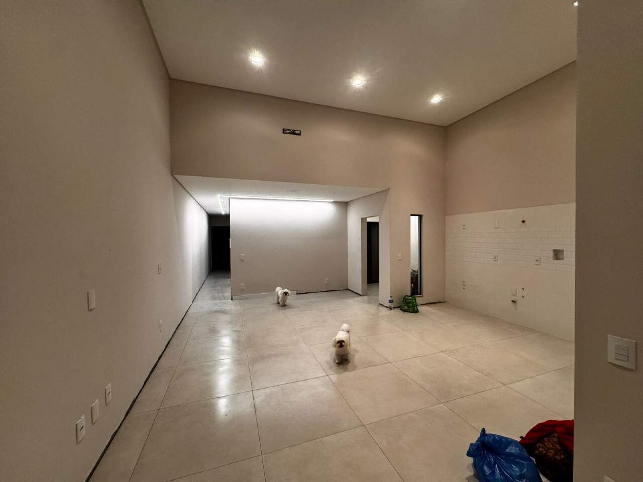  Geminado à venda no Tifa Martins: 