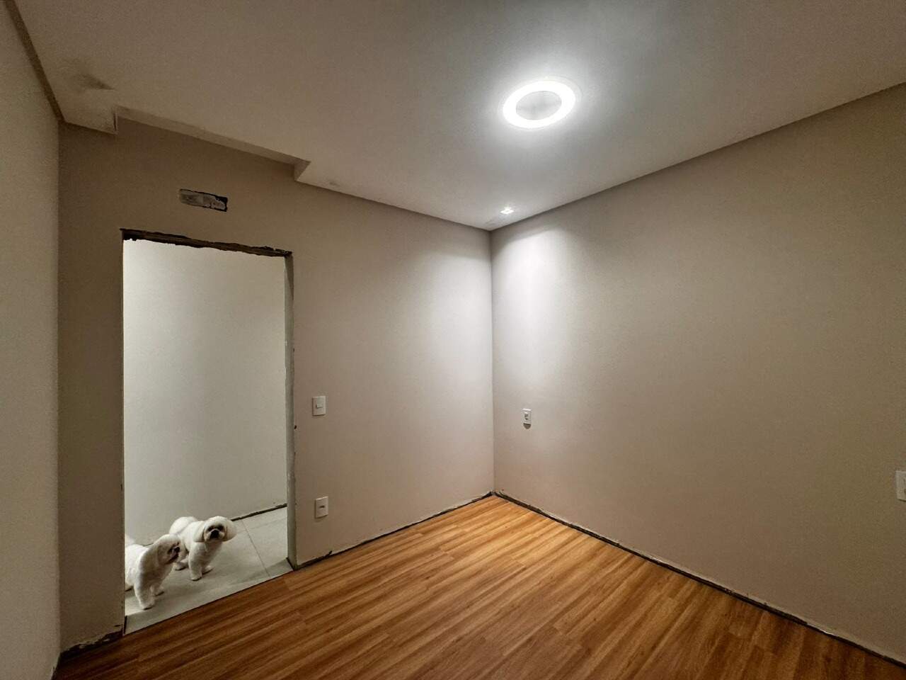  Geminado à venda no Tifa Martins: 