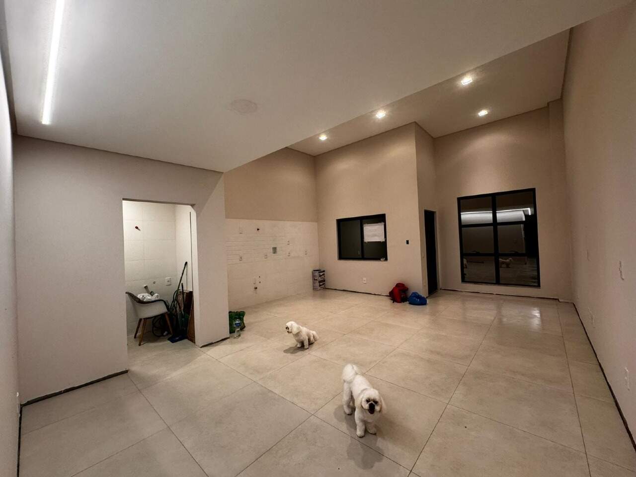  Geminado à venda no Tifa Martins: 