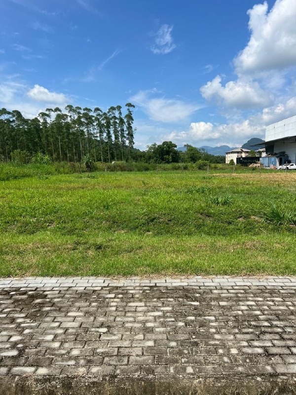 Terreno à venda no Rio da Luz: 