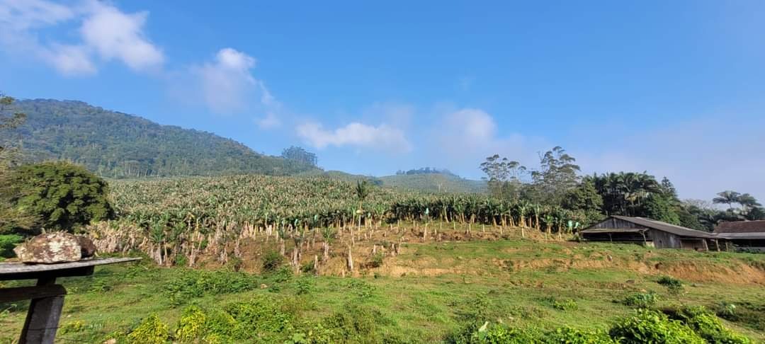 Casa à venda no Schroeder: 