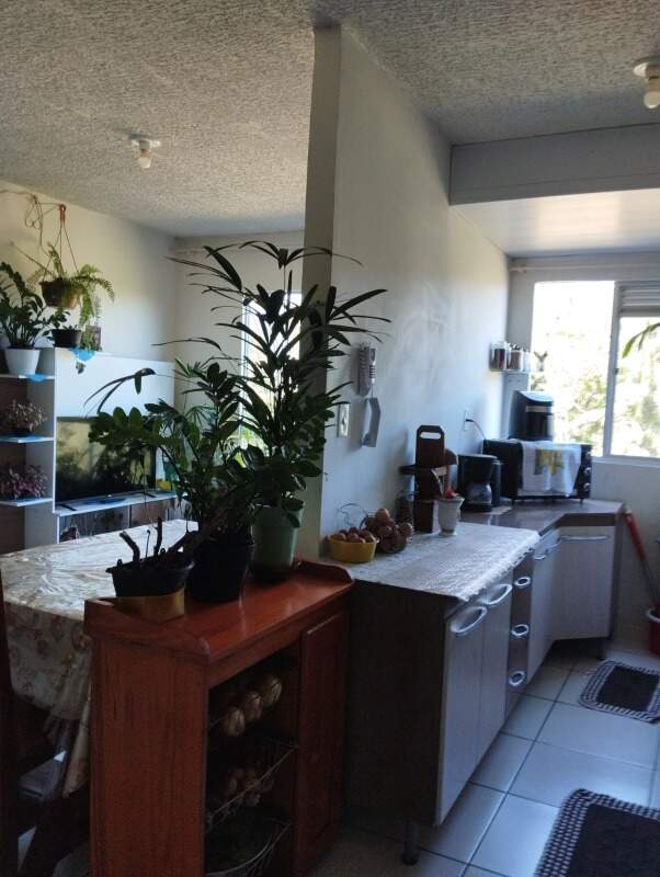 Apartamento à venda no Santa Luzia: 