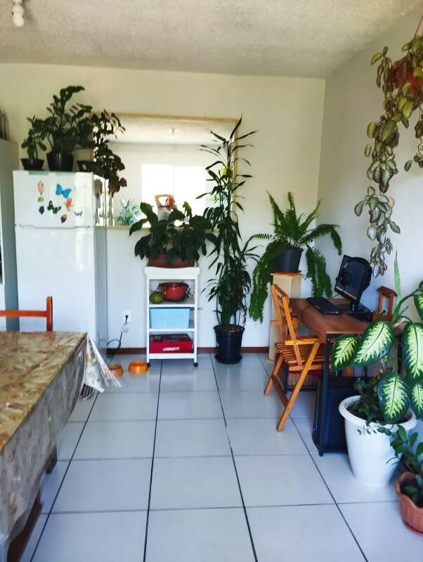 Apartamento à venda no Santa Luzia: 