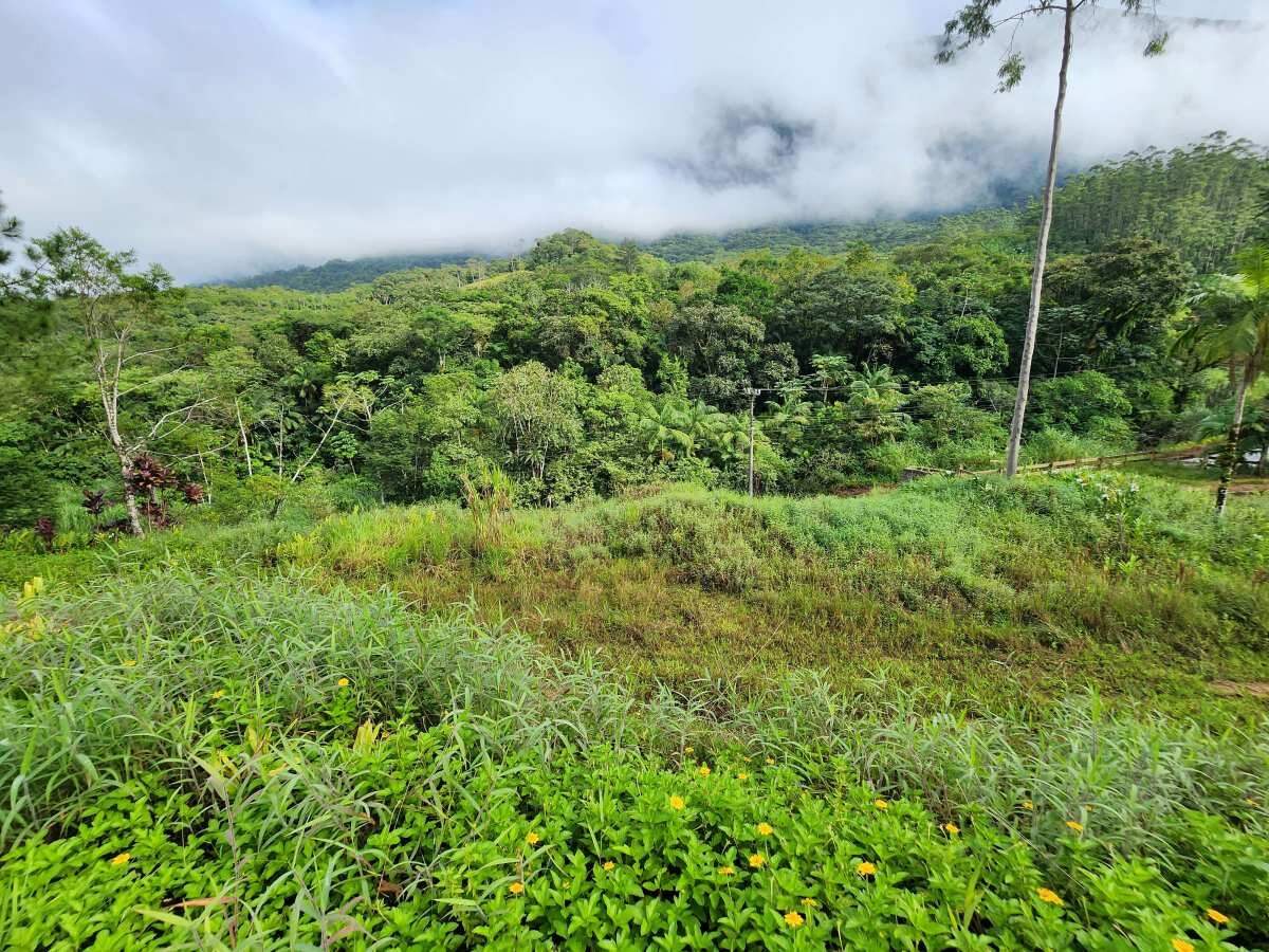 Sitio/Chácara à venda no Ribeirão grande do Norte: 