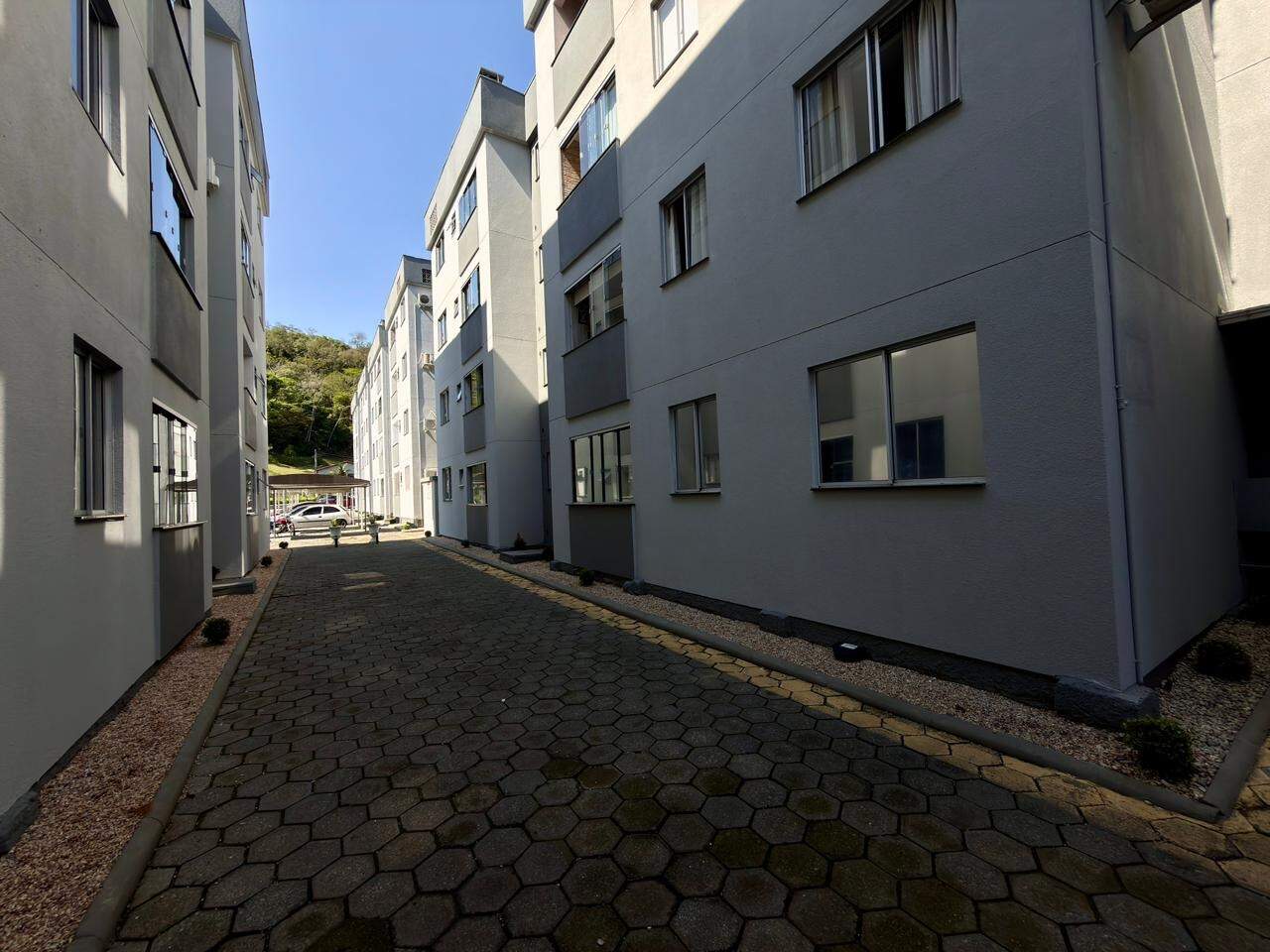 Apartamento para aluguel no Ilha da Figueira: 