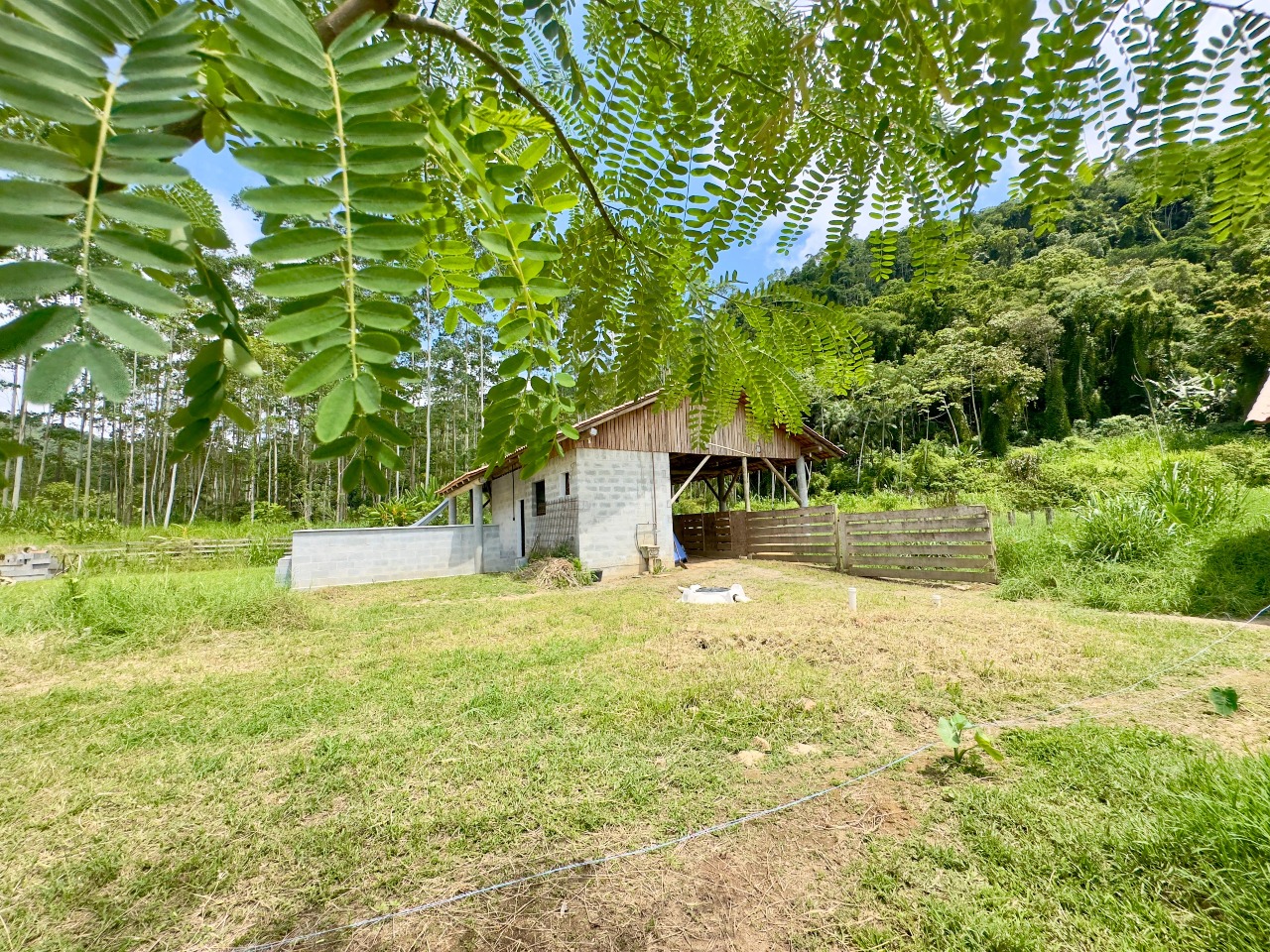 Sitio/Chácara à venda no Rio da Luz: Rancho