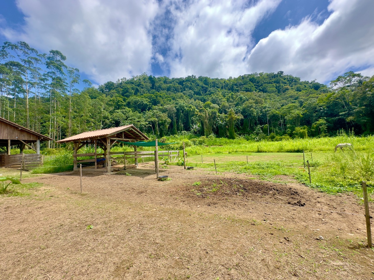 Sitio/Chácara à venda no Rio da Luz: 