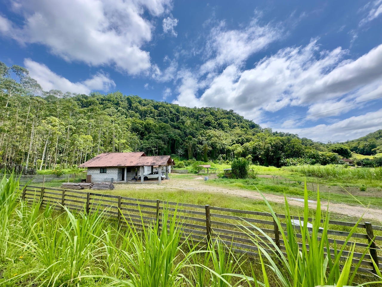 Sitio/Chácara à venda no Rio da Luz: Fácil acesso até a propriedade
