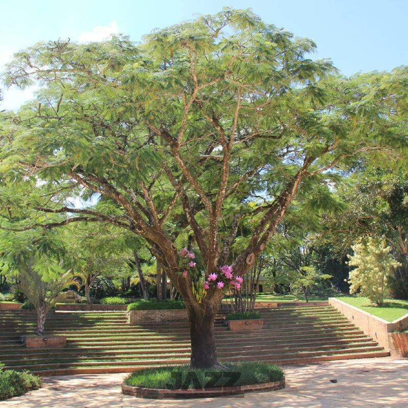 Casa de Condomínio à venda com 5 quartos, 710m² - Foto 102