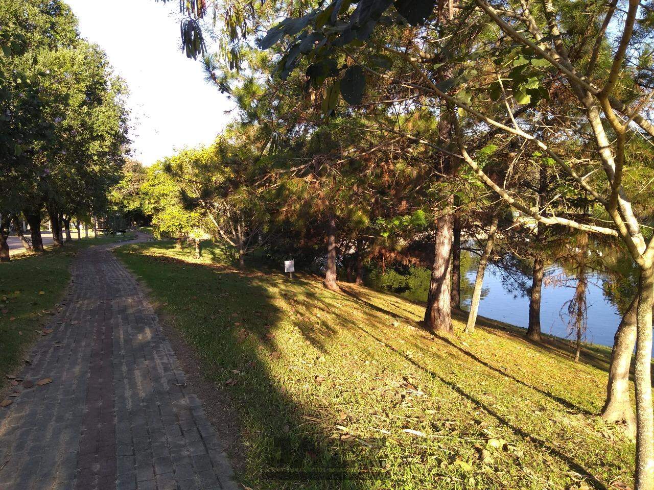 Fazenda à venda com 3 quartos, 1000m² - Foto 65