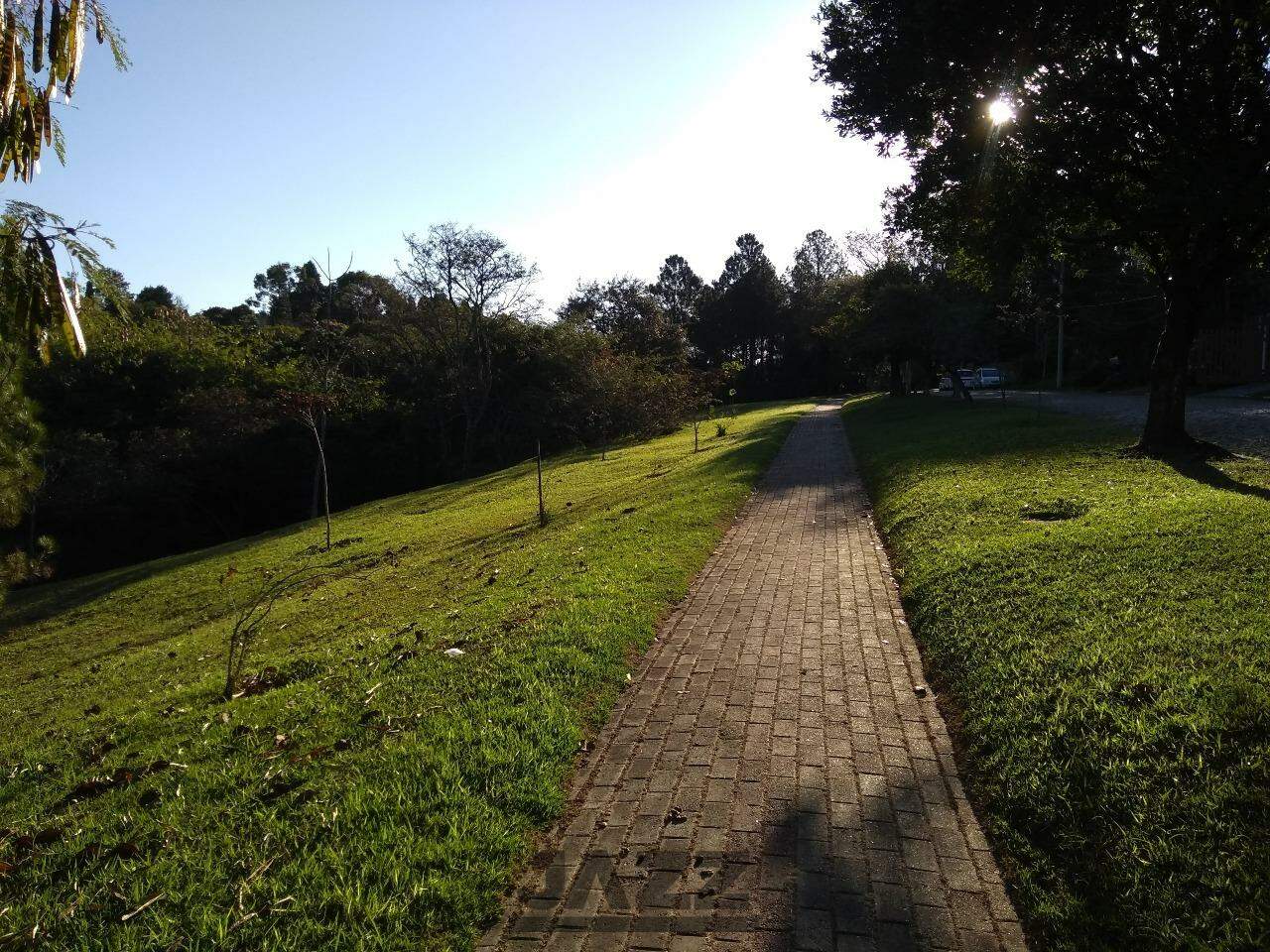 Fazenda à venda com 3 quartos, 1000m² - Foto 61