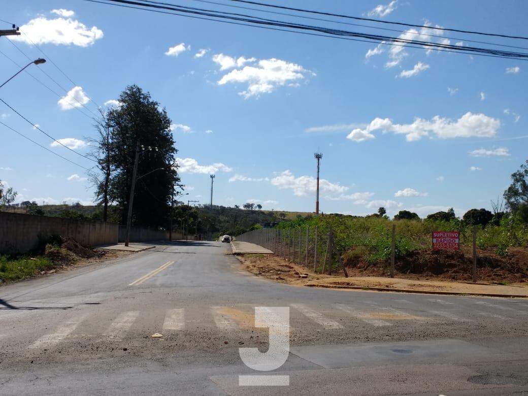 Terreno, 2 hectares - Foto 4