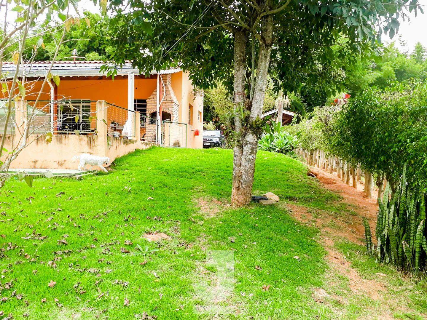 Fazenda à venda com 6 quartos, 270m² - Foto 13