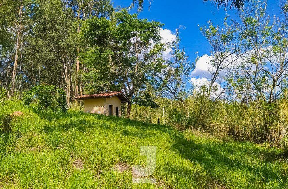 Fazenda à venda com 2 quartos, 100m² - Foto 11