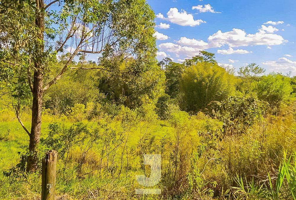 Fazenda à venda com 2 quartos, 100m² - Foto 5