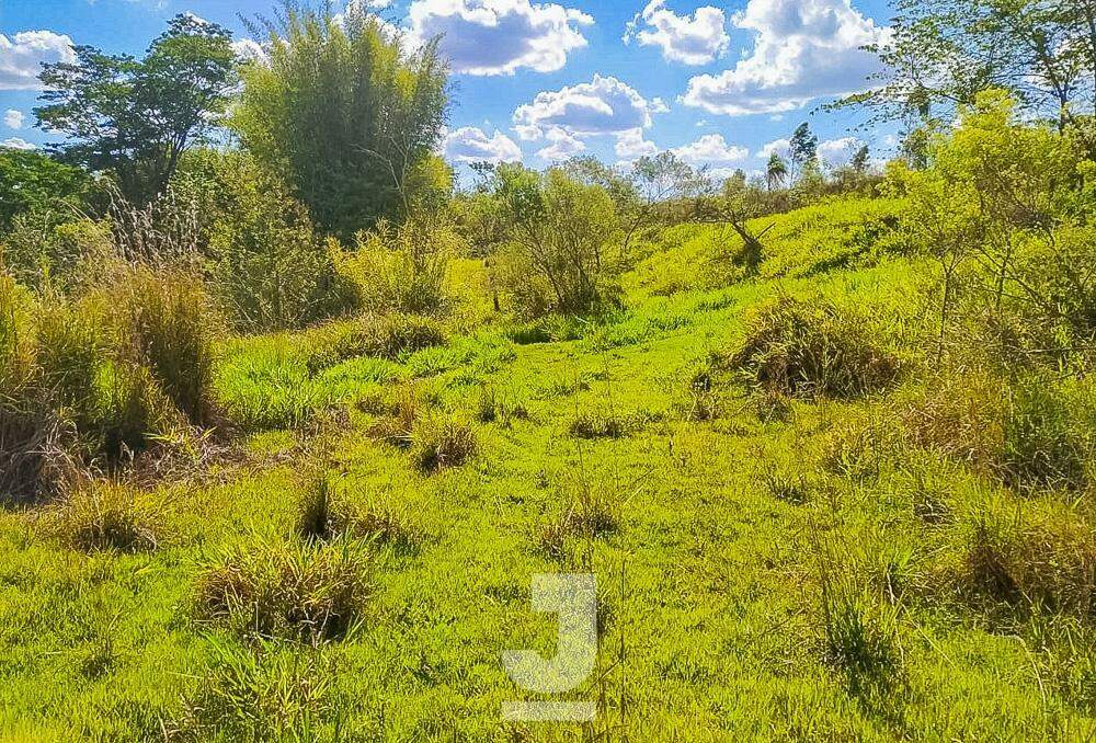 Fazenda à venda com 2 quartos, 100m² - Foto 22