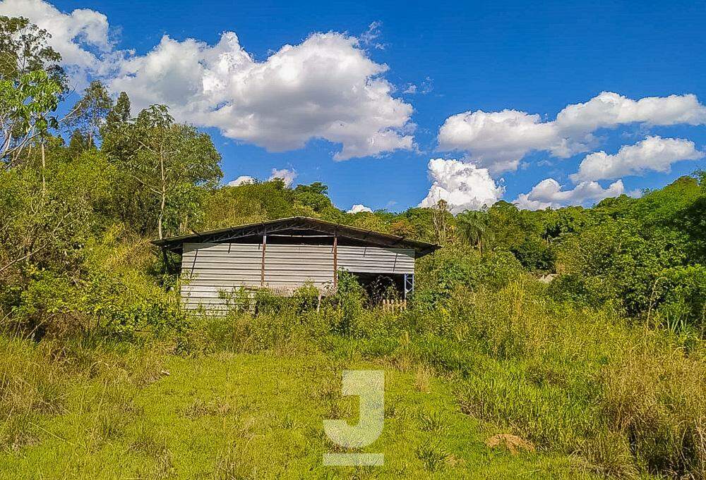 Fazenda à venda com 2 quartos, 100m² - Foto 16