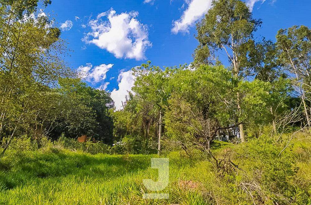 Fazenda à venda com 2 quartos, 100m² - Foto 23