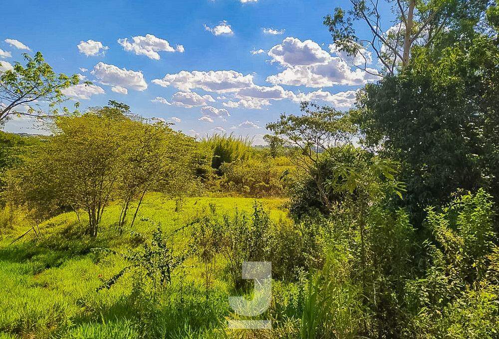 Fazenda à venda com 2 quartos, 100m² - Foto 10