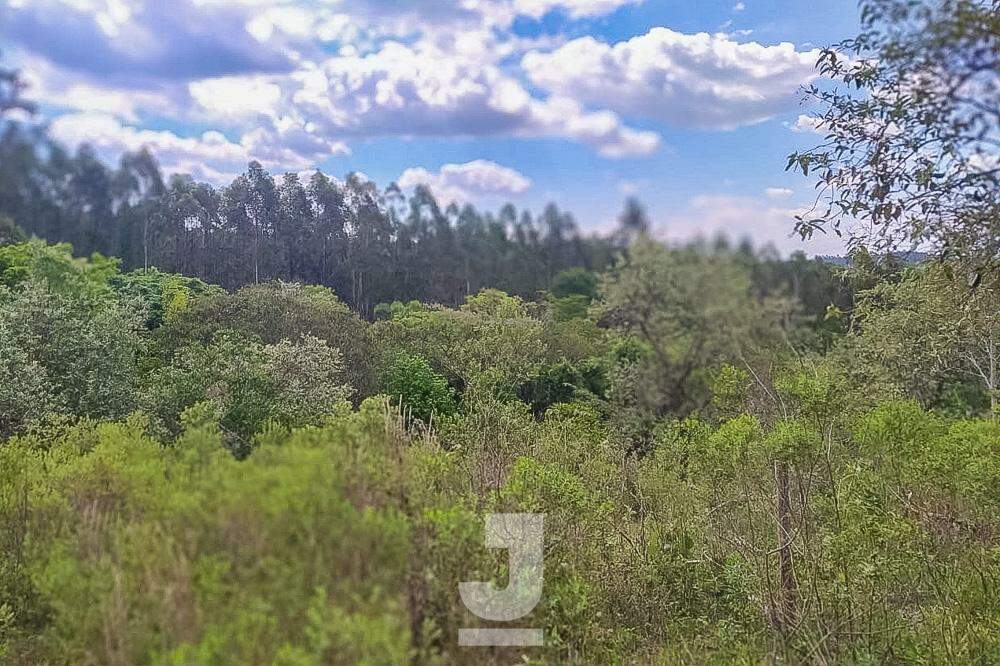 Fazenda à venda com 3 quartos, 20000m² - Foto 13