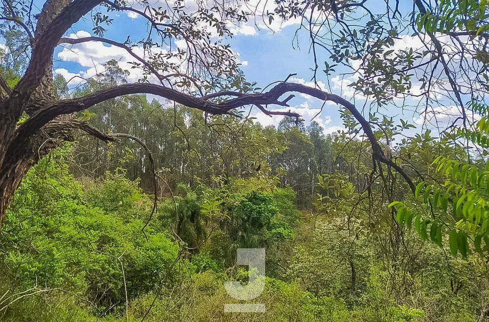 Fazenda à venda com 3 quartos, 20000m² - Foto 29