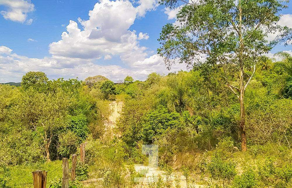 Fazenda à venda com 3 quartos, 20000m² - Foto 36