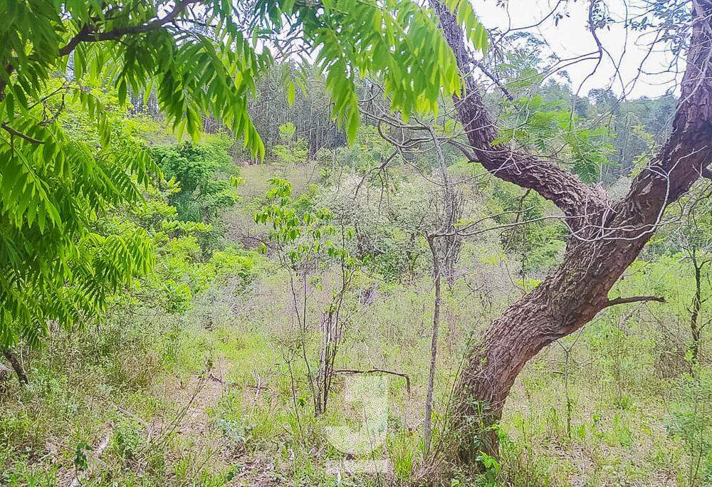 Fazenda à venda com 3 quartos, 20000m² - Foto 28