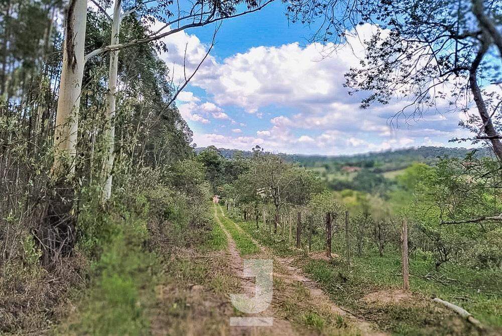 Fazenda à venda com 3 quartos, 20000m² - Foto 8