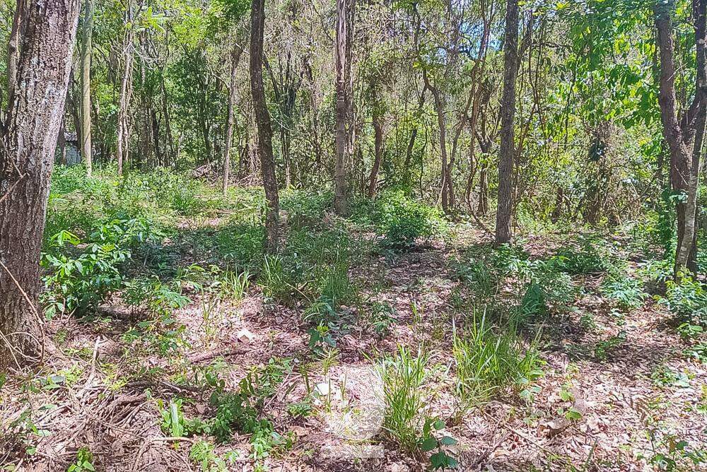 Fazenda à venda com 3 quartos, 20000m² - Foto 41