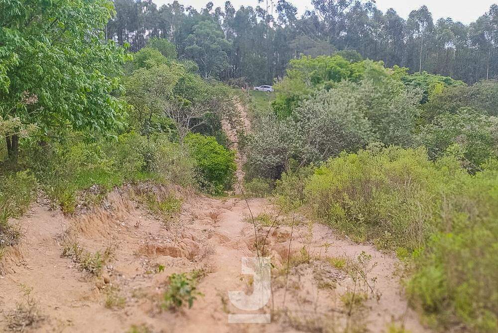 Fazenda à venda com 3 quartos, 20000m² - Foto 22