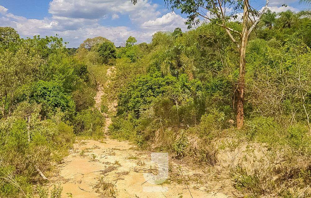 Fazenda à venda com 3 quartos, 20000m² - Foto 34