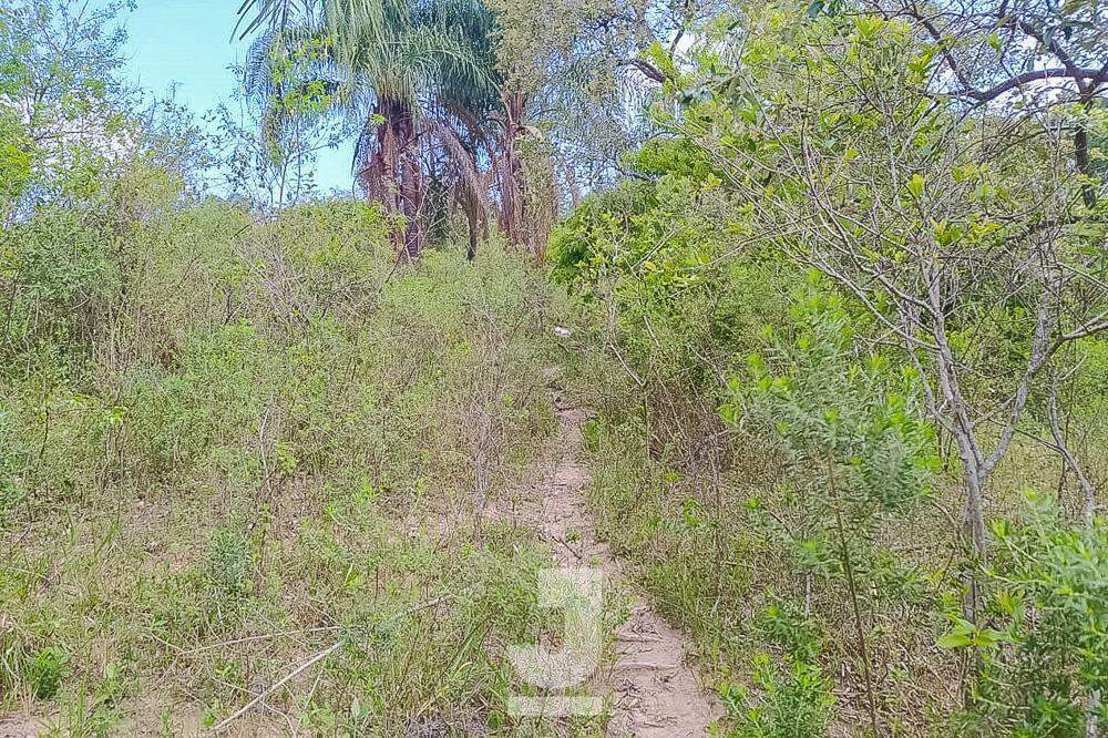 Fazenda à venda com 3 quartos, 20000m² - Foto 30