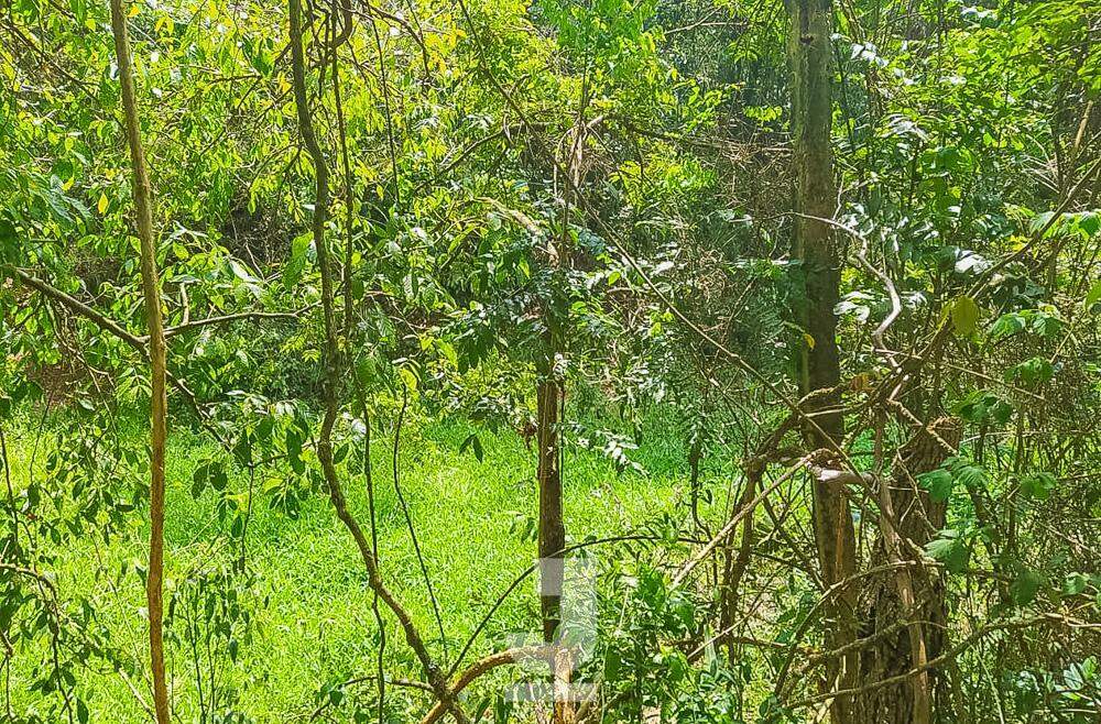 Fazenda à venda com 3 quartos, 20000m² - Foto 40