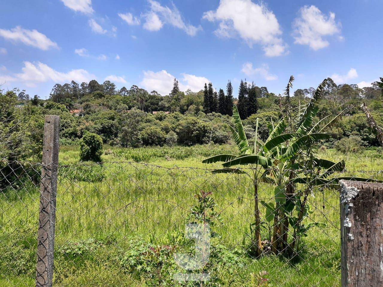 Fazenda à venda com 2 quartos, 950m² - Foto 20