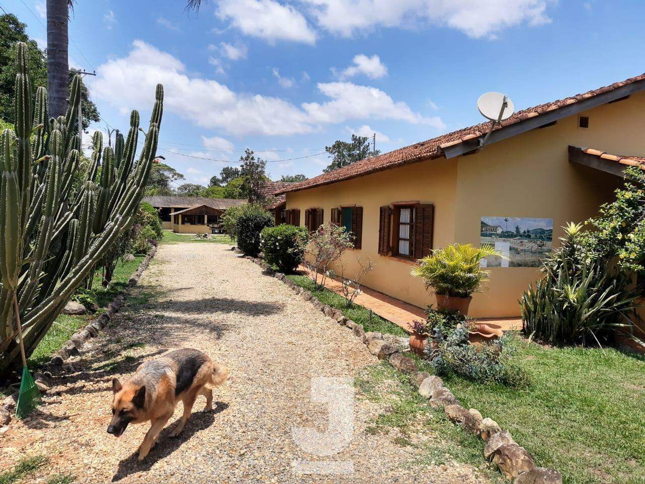 Fazenda à venda com 2 quartos, 950m² - Foto 30