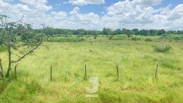 Terreno à venda, 18600m² - Foto 5