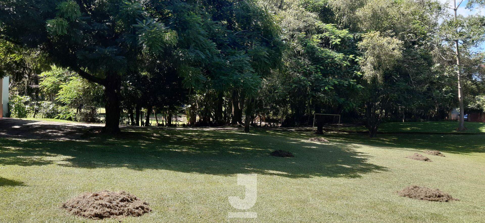 Fazenda à venda com 4 quartos, 400m² - Foto 6