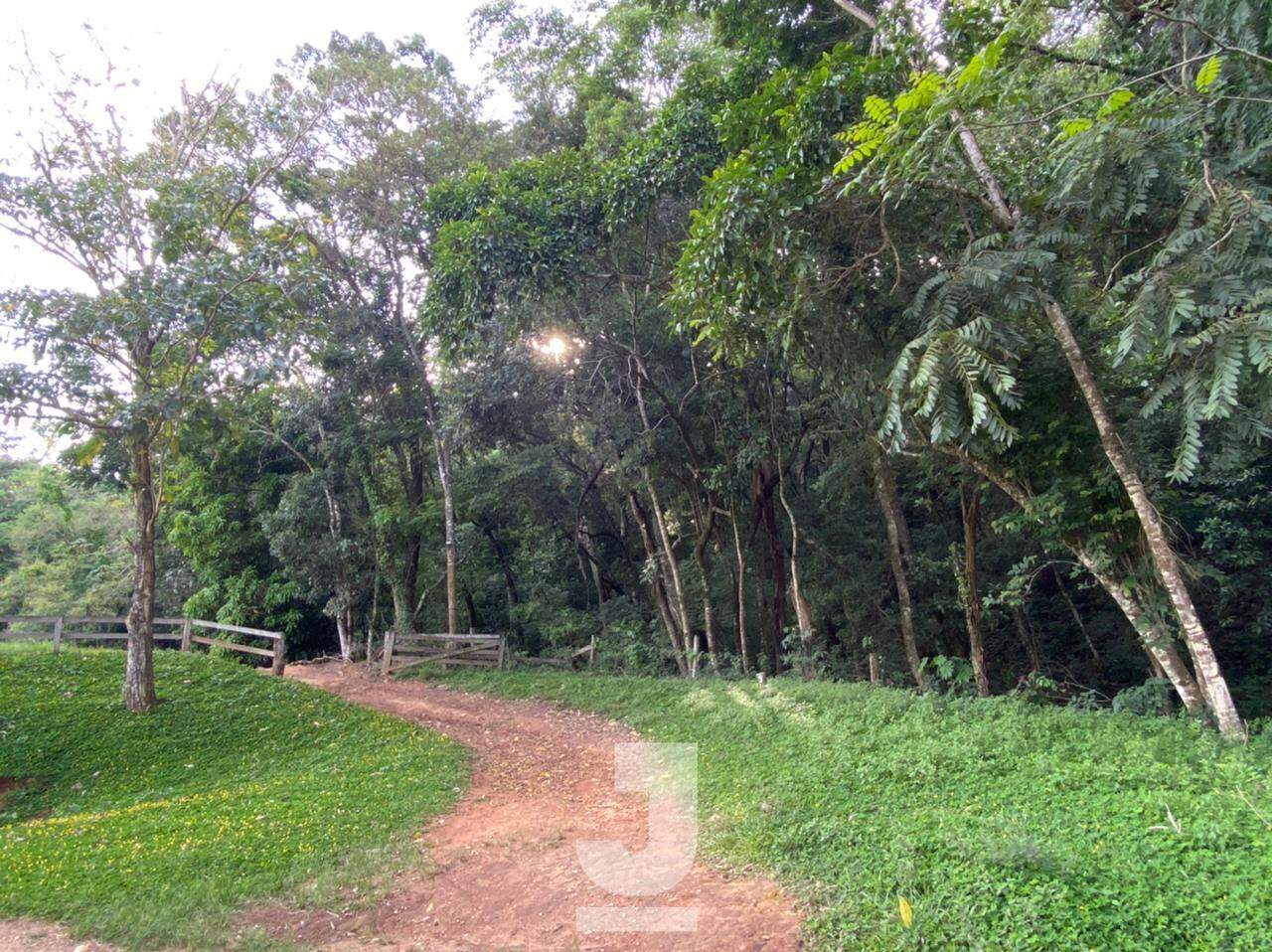 Fazenda à venda com 21 quartos, 1200m² - Foto 22