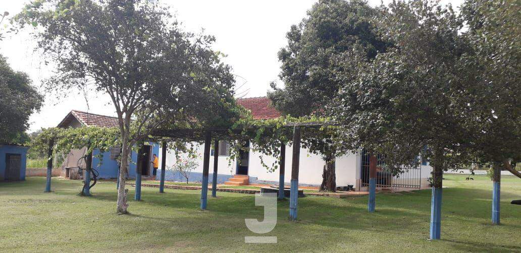 Fazenda à venda com 2 quartos, 215m² - Foto 16