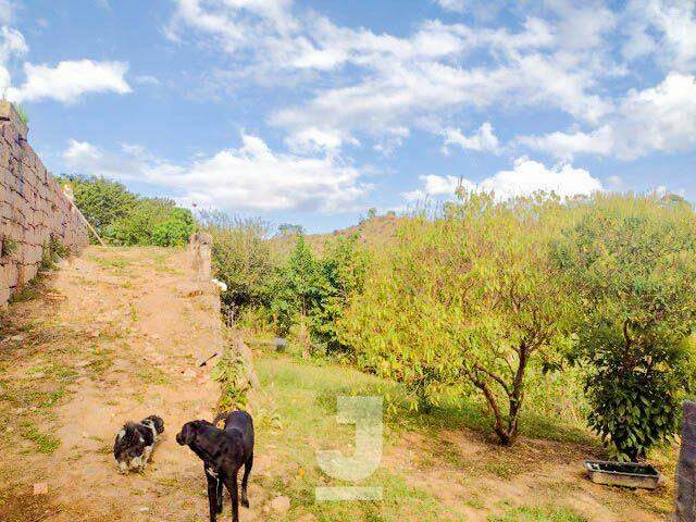 Fazenda à venda com 4 quartos, 200m² - Foto 5