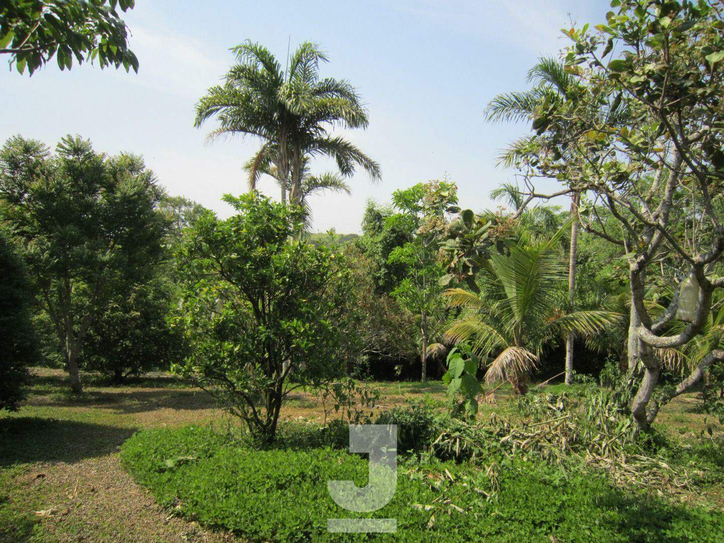 Fazenda à venda com 3 quartos, 229m² - Foto 26