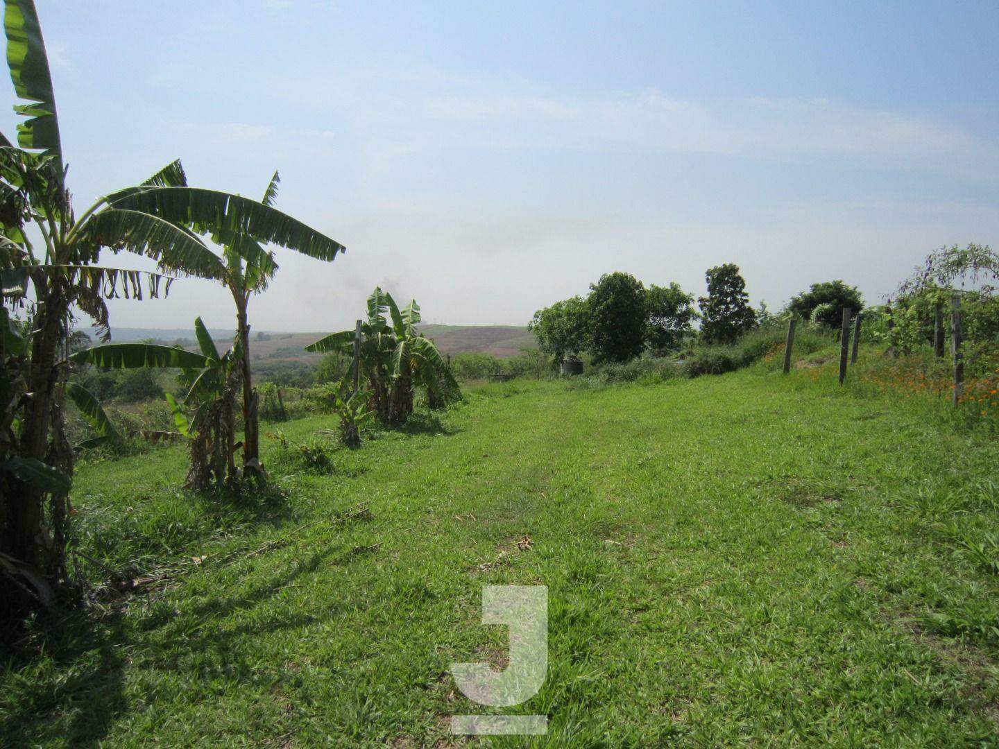 Fazenda à venda com 3 quartos, 229m² - Foto 50