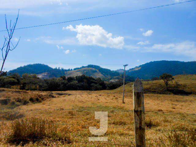 Fazenda à venda com 3 quartos, 1100m² - Foto 35