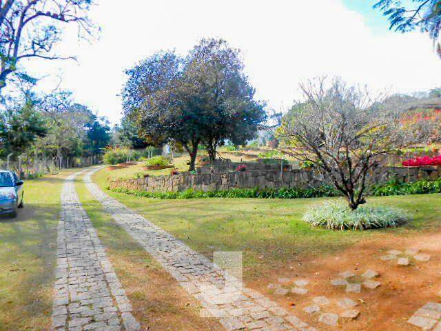 Fazenda à venda com 3 quartos, 1100m² - Foto 54