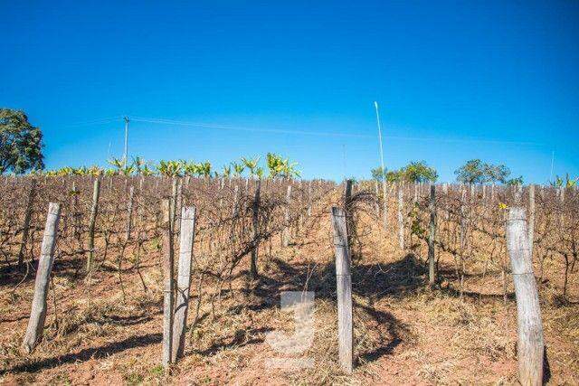 Fazenda à venda com 10 quartos, 200m² - Foto 2